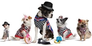 Дрехи за домашни любимци