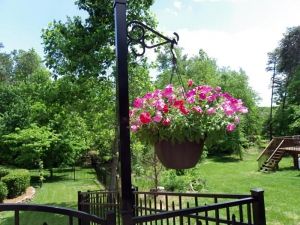 Висящи саксии