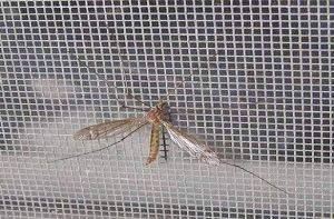 Мрежи и комарници