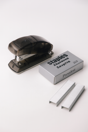 Мини телбод и телчета 26/6