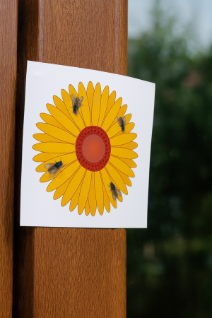 Комплект 3 лепкави капана за мушици и комари – 9.5 x 9.5 см