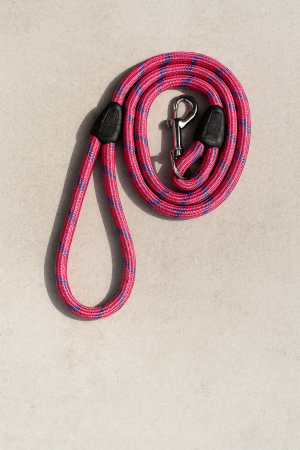 Каишка за куче