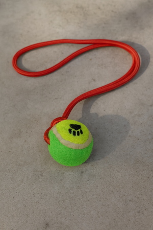 Топка за тенис