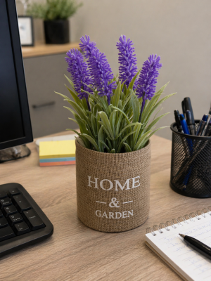 Саксия лавандула - 25 см.